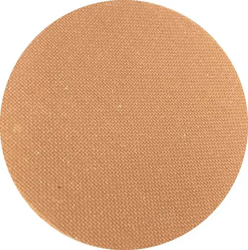 LOT 10 X POUDRES COMPACTES PRO 10ML DORE