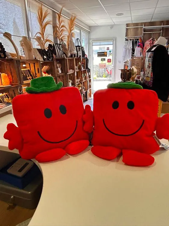 LOT 2 PELUCHES BOUILLOTTES MR COSTAUD