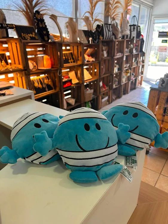 LOT 3 PELUCHES BOUILLOTTES MR MALCHANCE