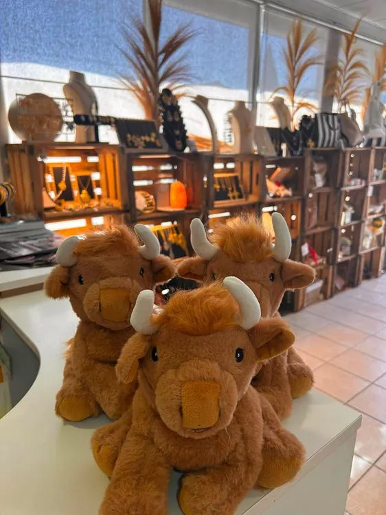 LOT 3 PELUCHES BOUILLOTTES YACKS