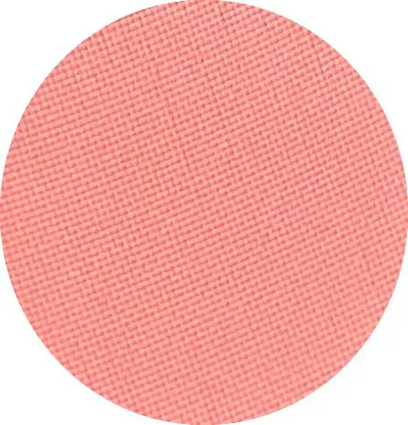 BLUSH PRO 5ML SAUMONNE