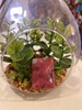 PENDENTIF  RHODONITE A+ PIERRE PLATE GOUTTE 2