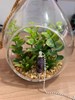 PENDULE LINGAM AMETHYSTE 1