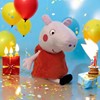 PELUCHE BOUILLOTTE PEPPA PIG 1