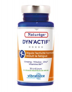 DYN'ACTIF 90 GELULES