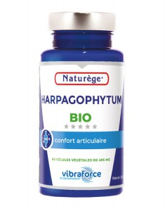 HARPAGOPHYTUM BIO 60 GELULES