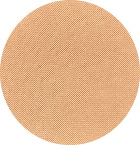 POUDRE COMPACTE PRO 10ML BEIGE