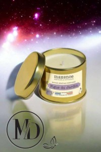 BOUGIE 120G OR FIGUE DU JARDIN