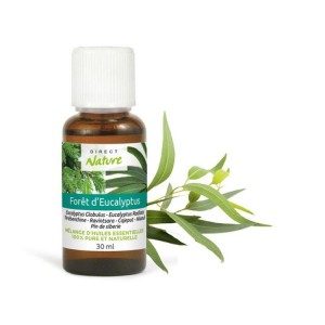 MELANGE HUILES ESSENTIELLES 30ML FORET EUCALYPTUS