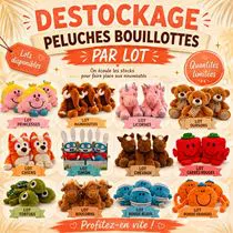 LOTS PELUCHES BOUILLOTTES 